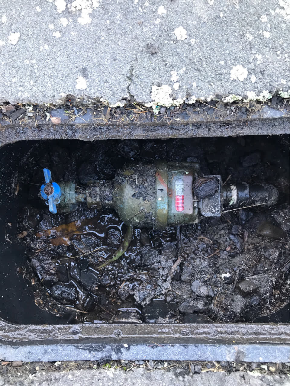 The photograph attached to this water supply report