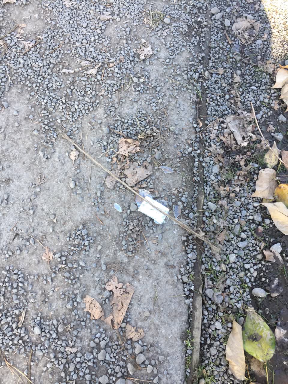 The photograph attached to this parks report