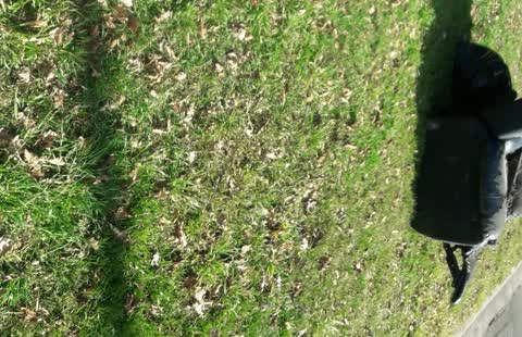 Parks, a report photo