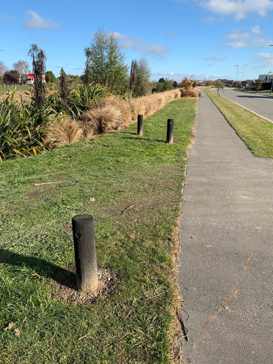 The photograph attached to this parks report