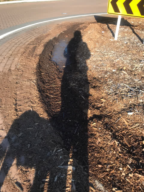 Parks, a report photo