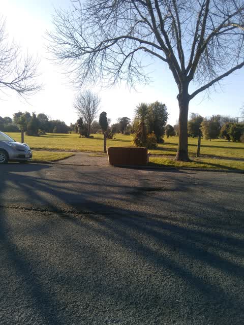 Rubbish/Recycling, a report photo
