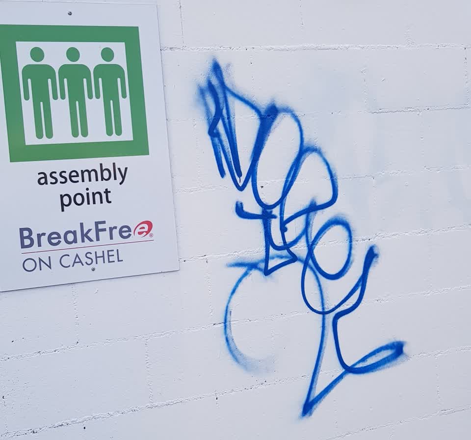The photograph attached to this graffiti report