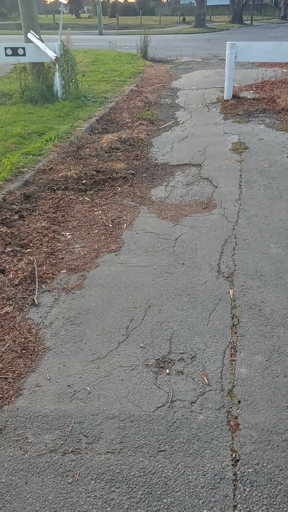 The photograph attached to this roading/streets report