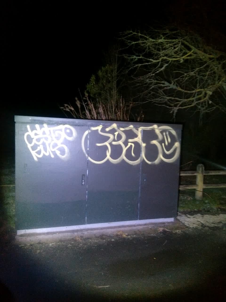 The photograph attached to this graffiti report