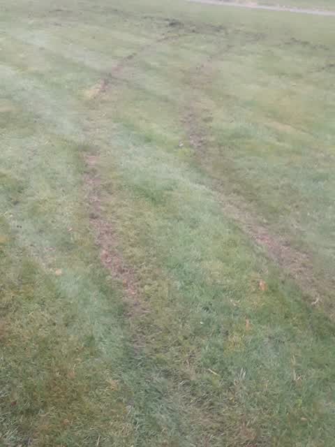 Parks, a report photo
