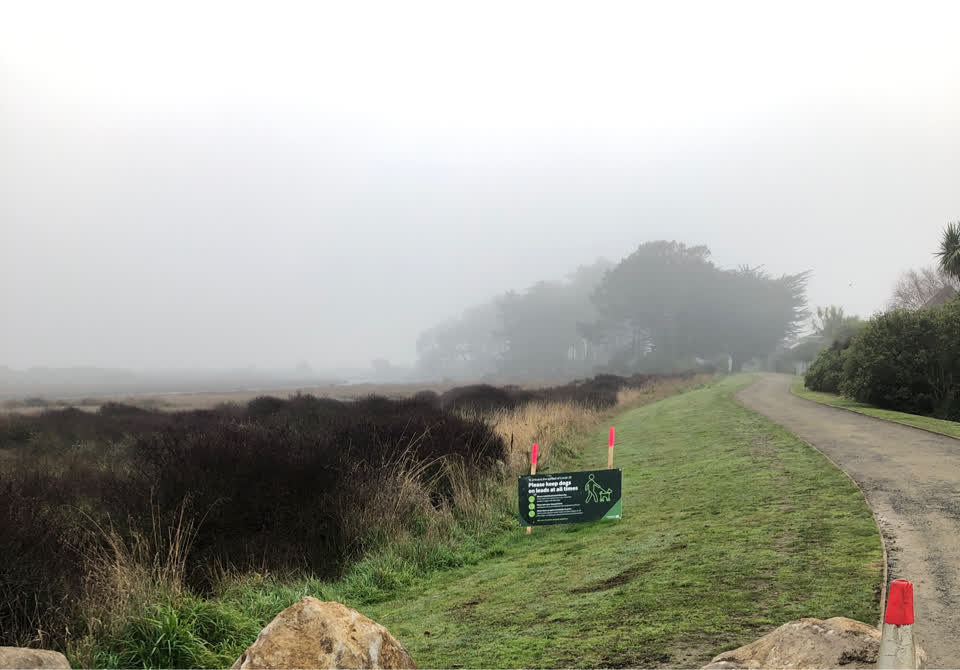 The photograph attached to this parks report