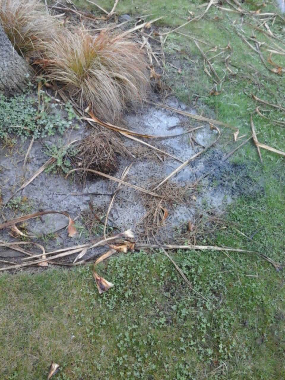 The photograph attached to this wastewater/stormwater report