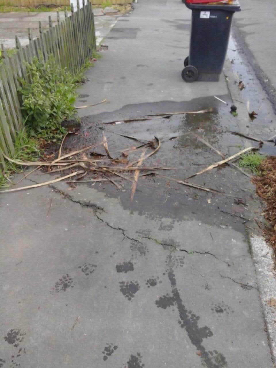 The photograph attached to this wastewater/stormwater report