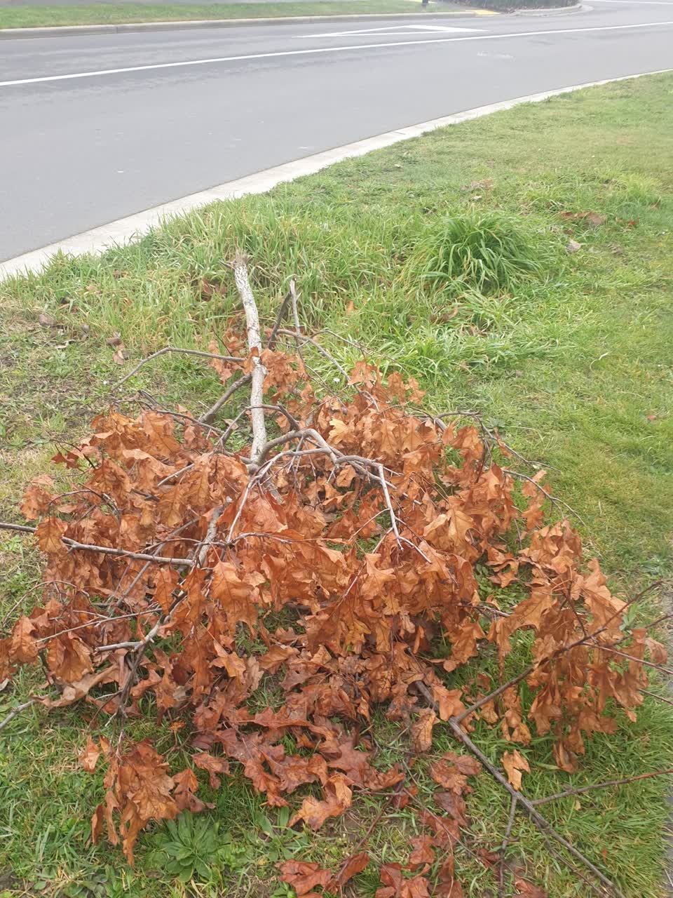 The photograph attached to this roading/streets report