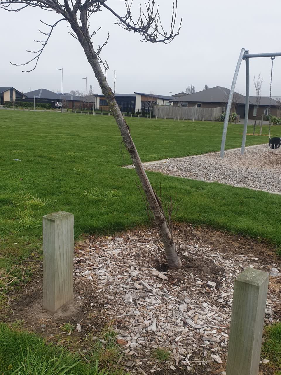 The photograph attached to this parks report