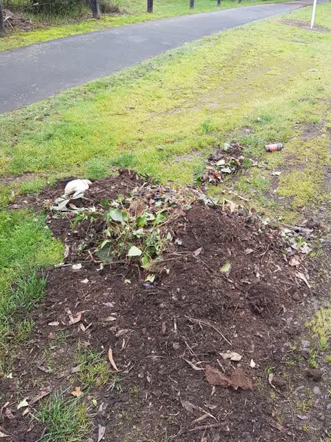 Rubbish/Recycling, a report photo