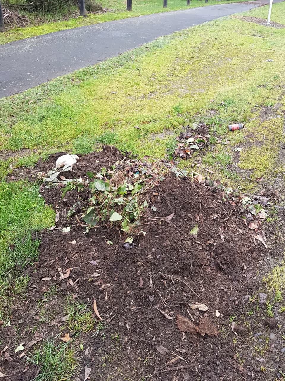 The photograph attached to this rubbish/recycling report