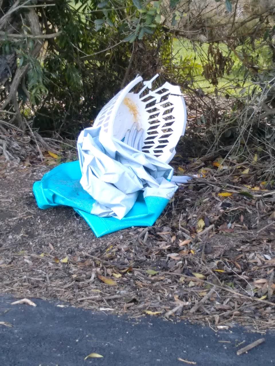 The photograph attached to this rubbish/recycling report
