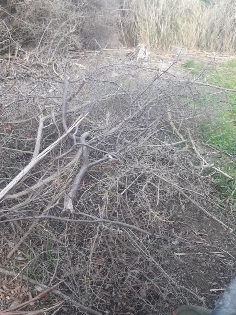Parks, a report photo