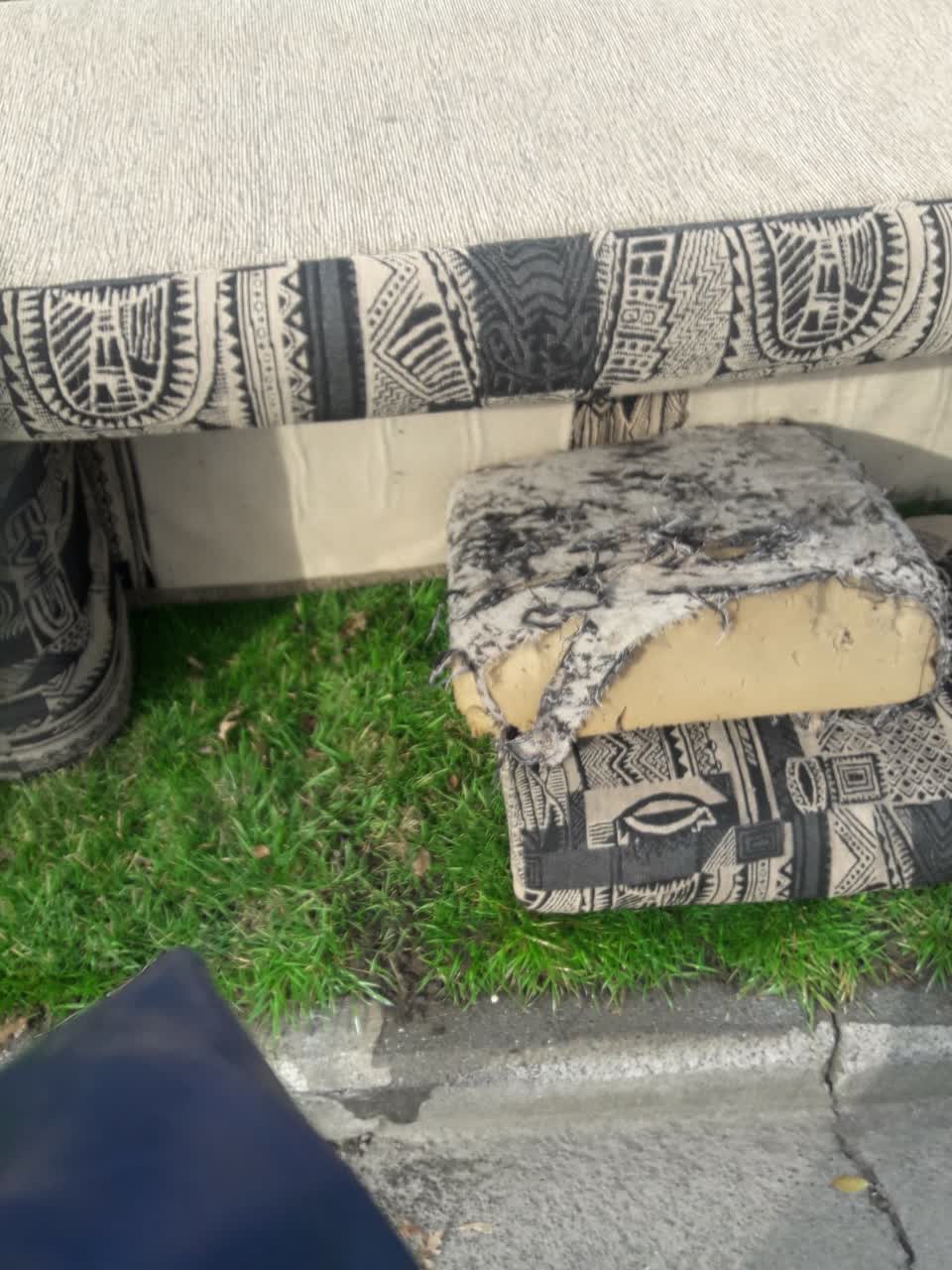 The photograph attached to this parks report