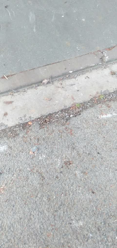 Roading/Streets, a report photo