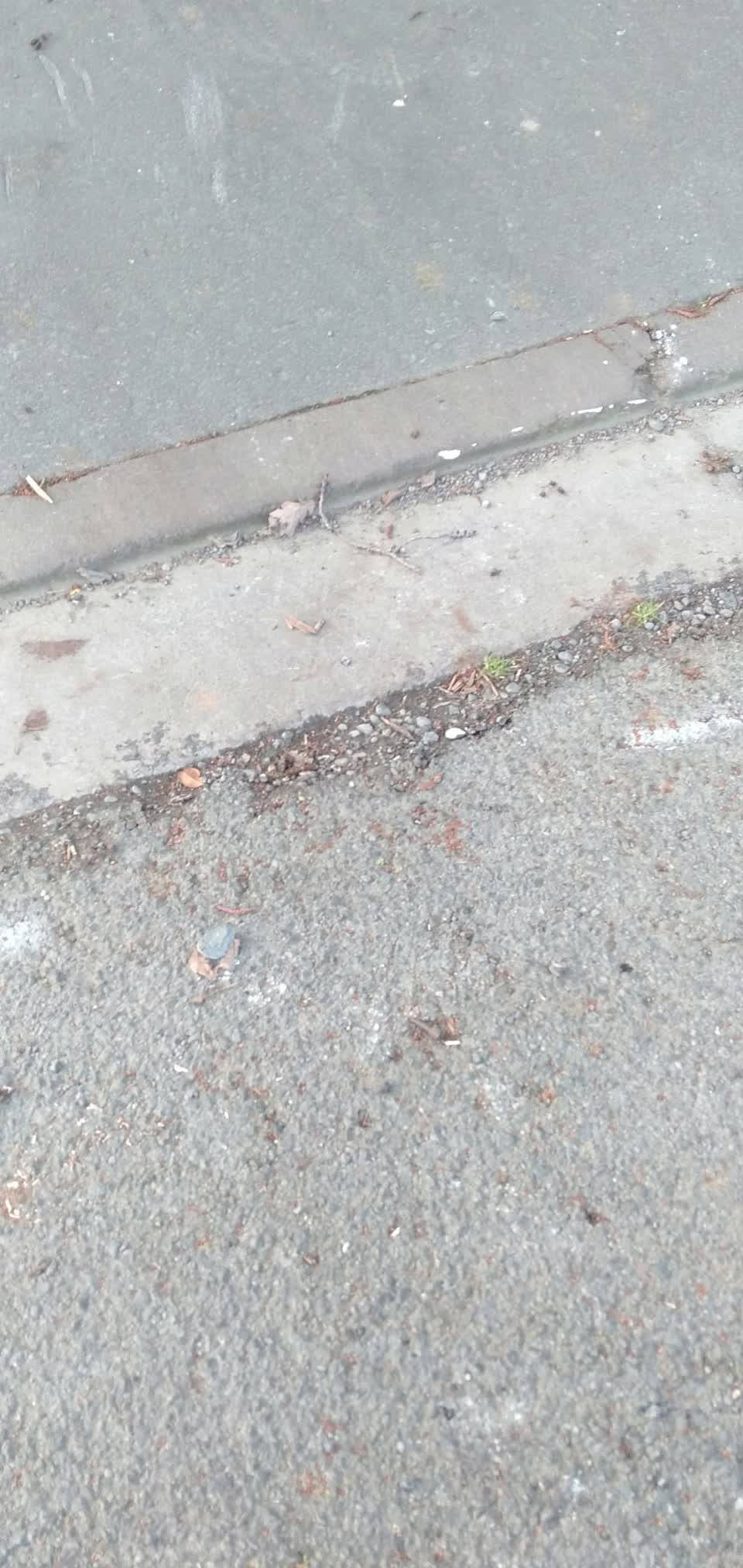 The photograph attached to this roading/streets report