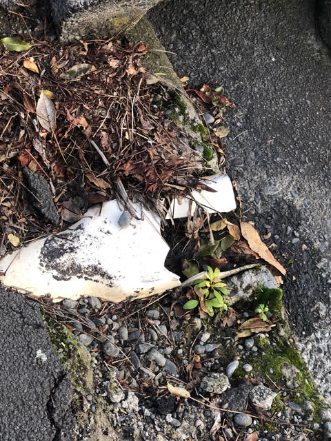 Wastewater/Stormwater, a report photo