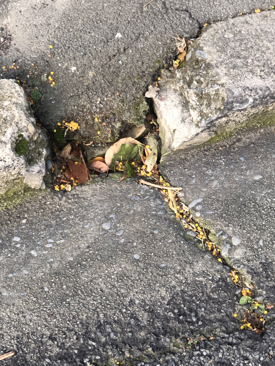 The photograph attached to this roading/streets report