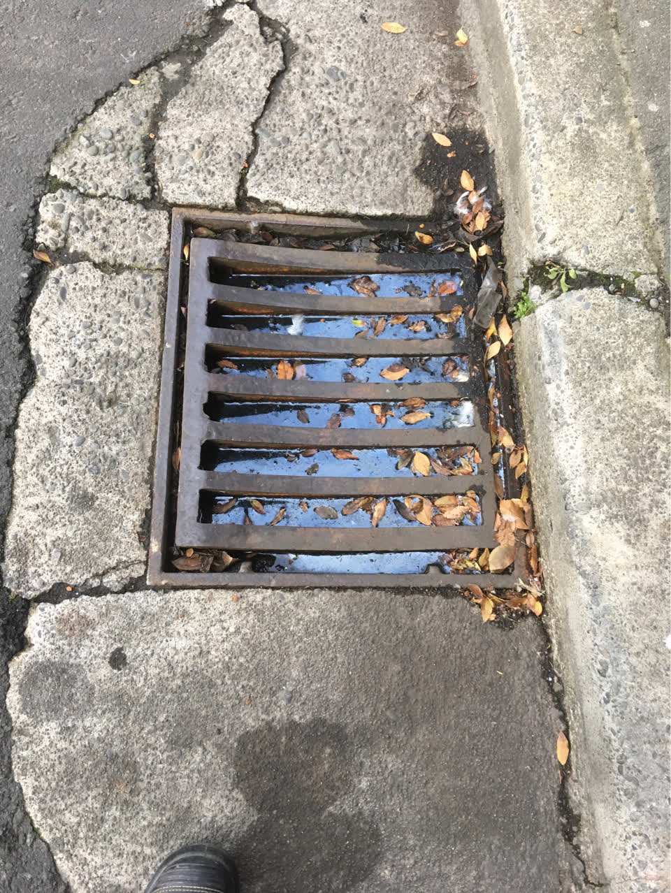 The photograph attached to this wastewater/stormwater report