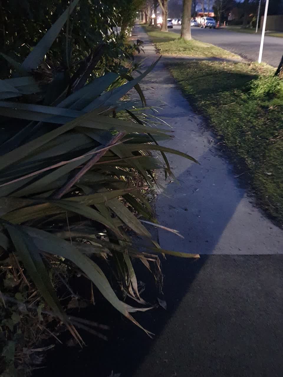 The photograph attached to this roading/streets report