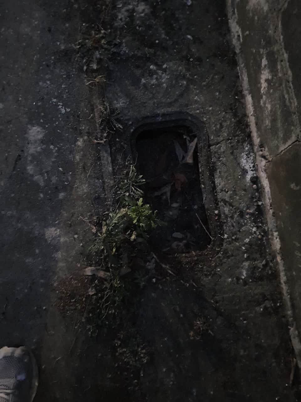 The photograph attached to this water supply report