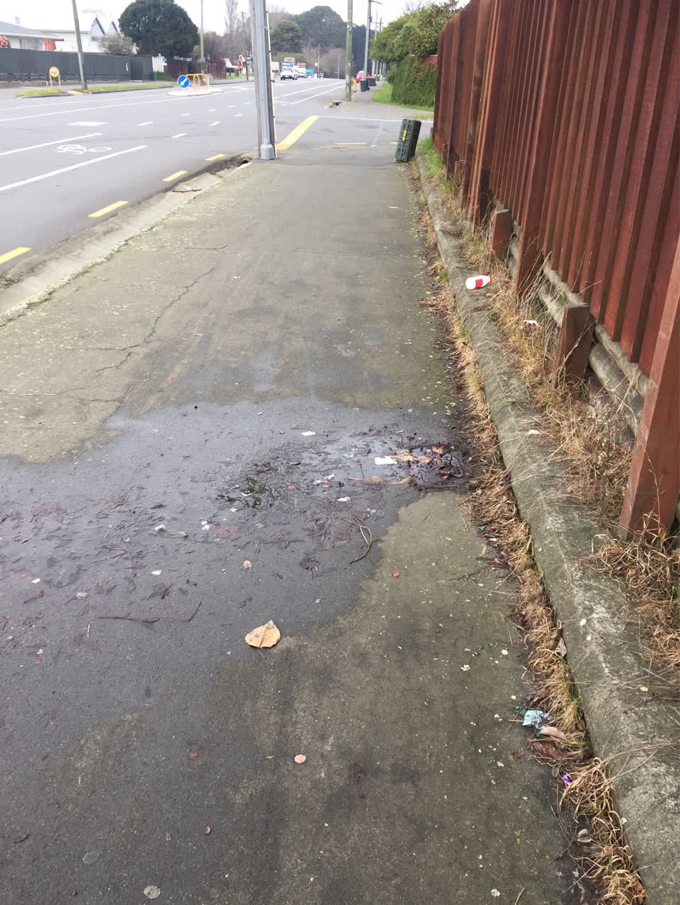 The photograph attached to this water supply report