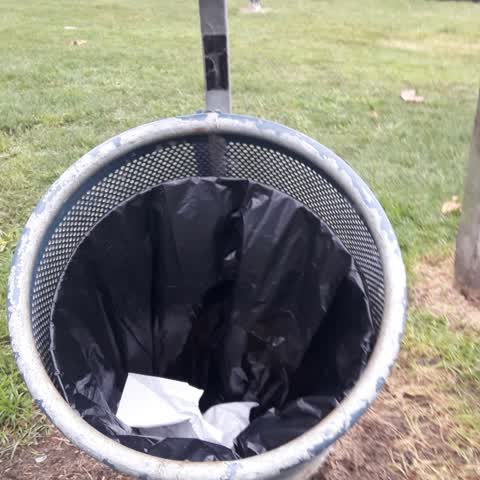 Parks, a report photo