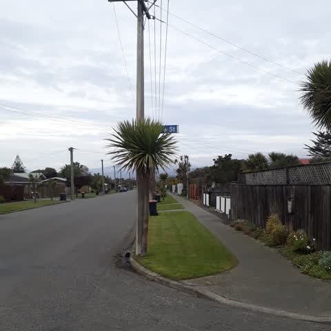 Roading/Streets, a report photo