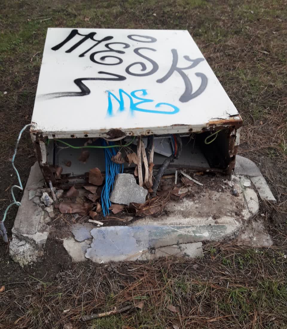 The photograph attached to this parks report