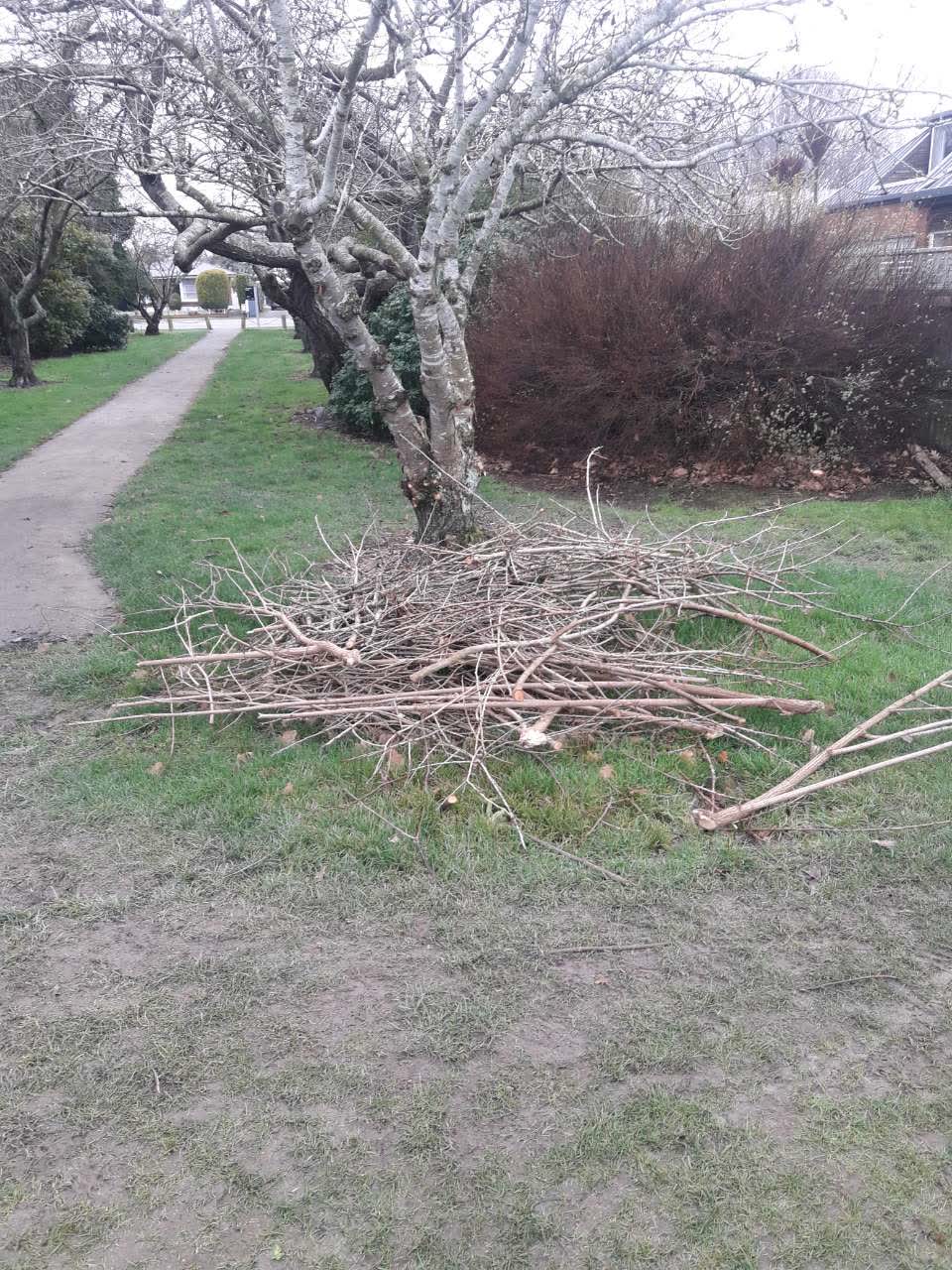 The photograph attached to this parks report