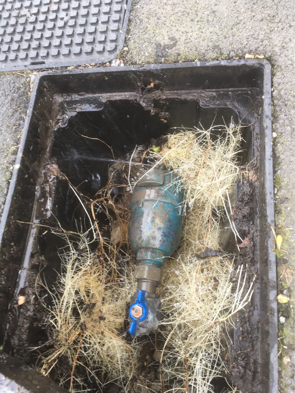 The photograph attached to this water supply report