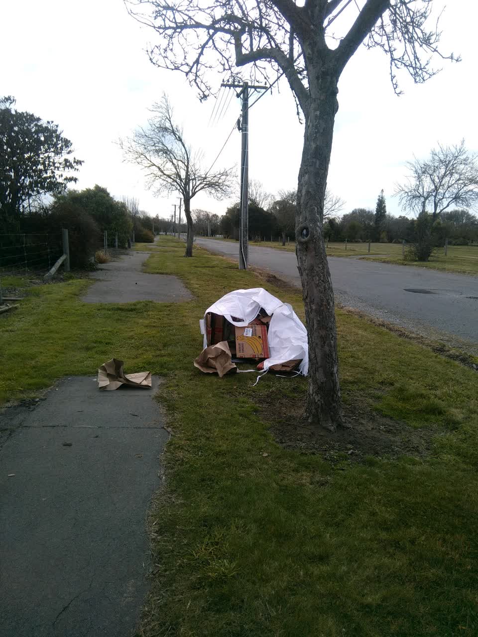 The photograph attached to this rubbish/recycling report