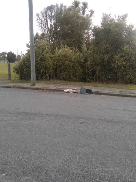 Rubbish/Recycling, a report photo