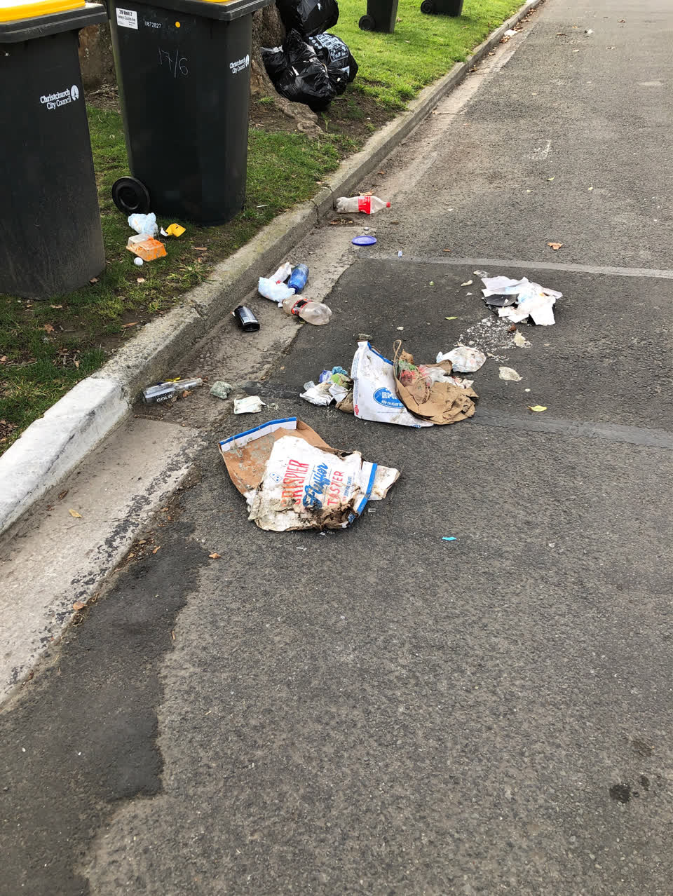 The photograph attached to this rubbish/recycling report