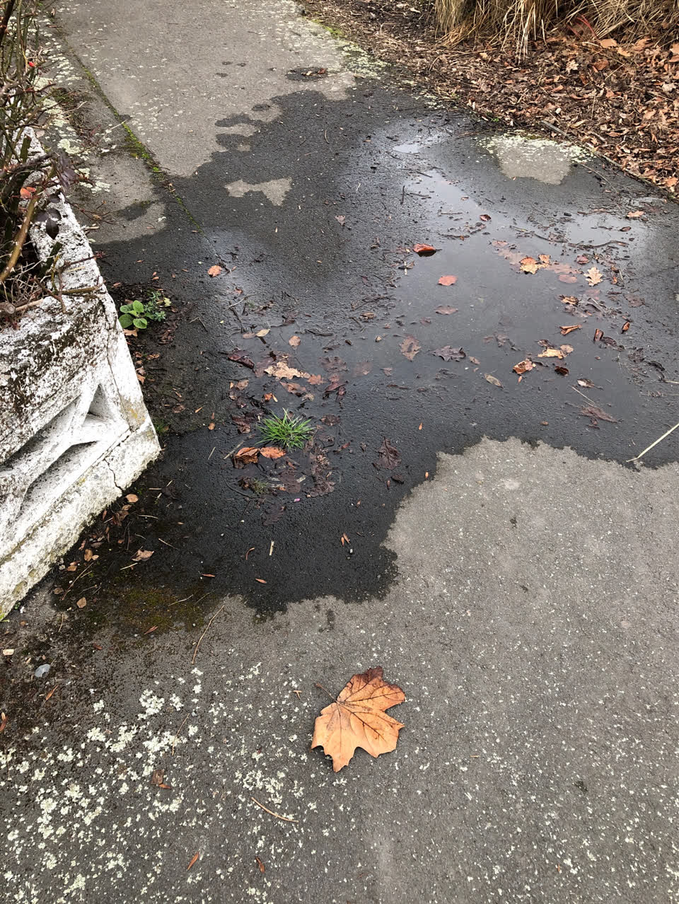 The photograph attached to this water supply report