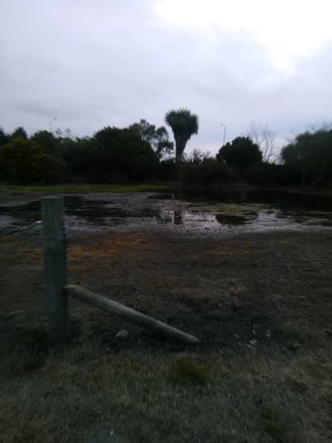 Parks, a report photo