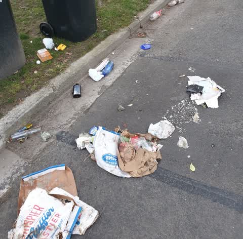 Rubbish/Recycling — a report photo