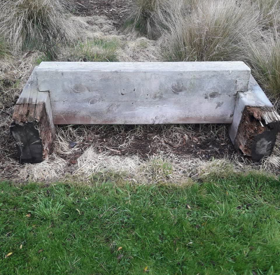 The photograph attached to this parks report