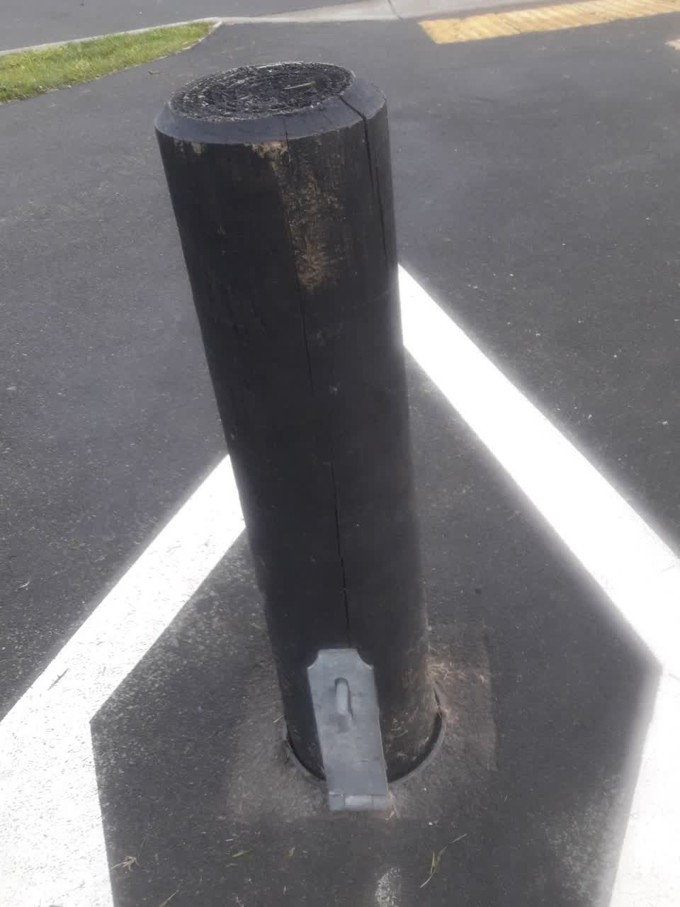 The photograph attached to this parks report