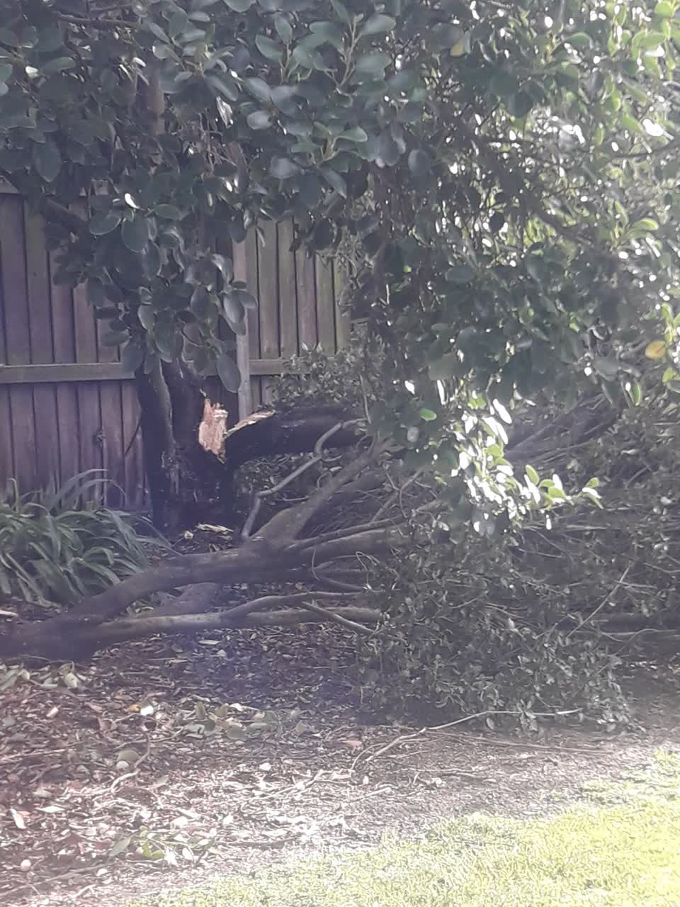 The photograph attached to this parks report