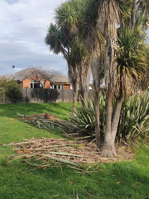 Parks, a report photo