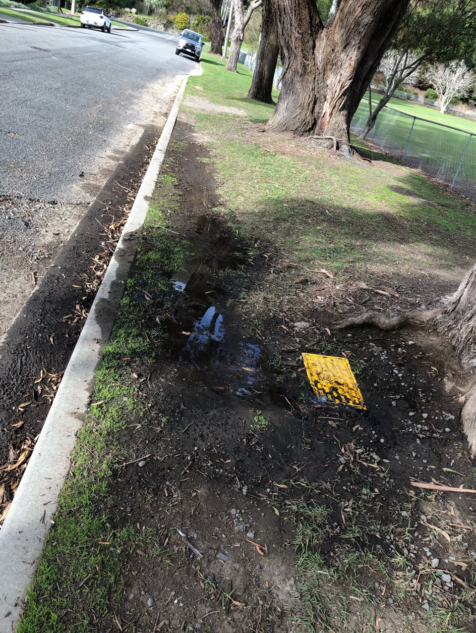 The photograph attached to this flooding report