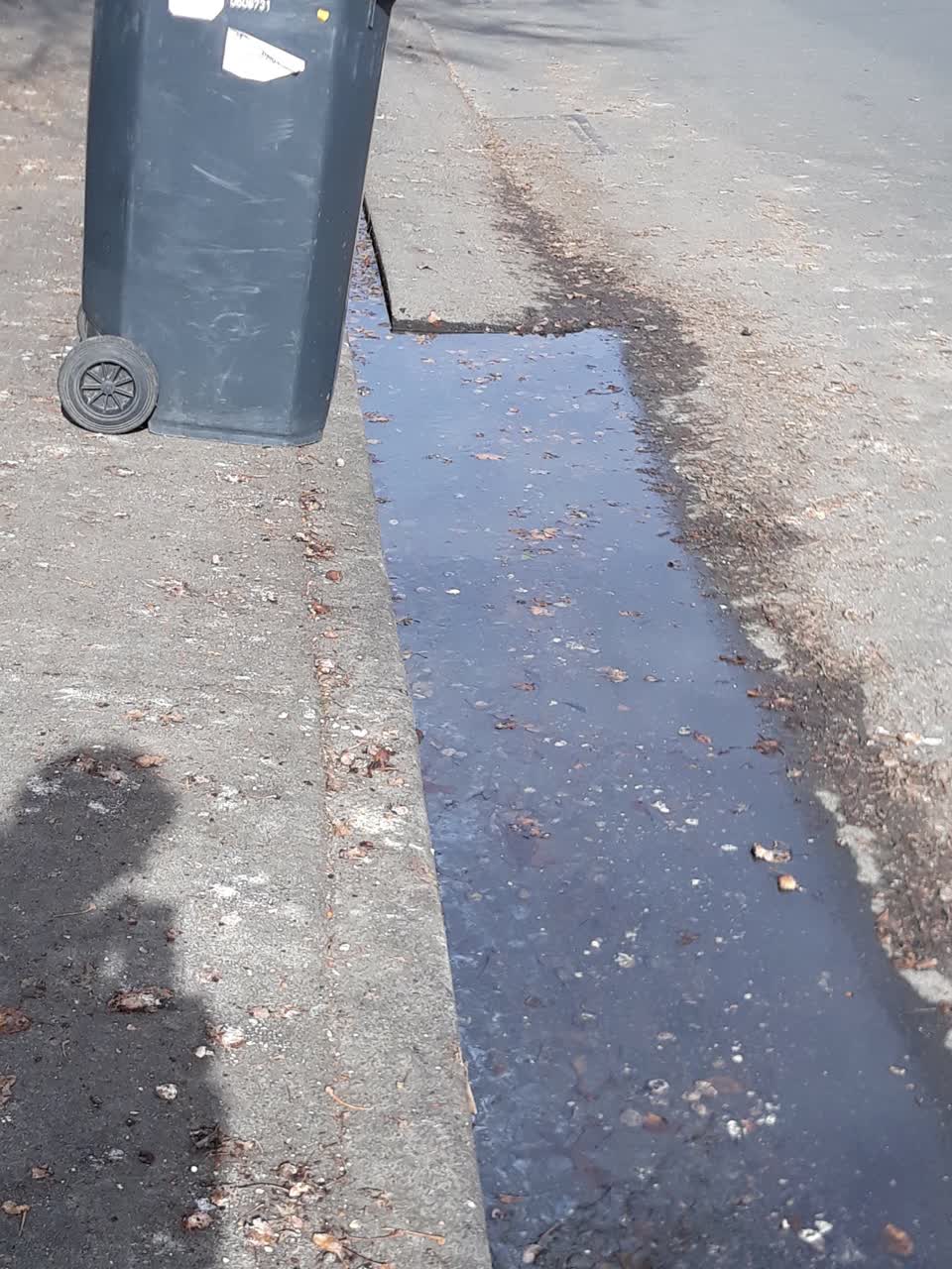 The photograph attached to this water supply report