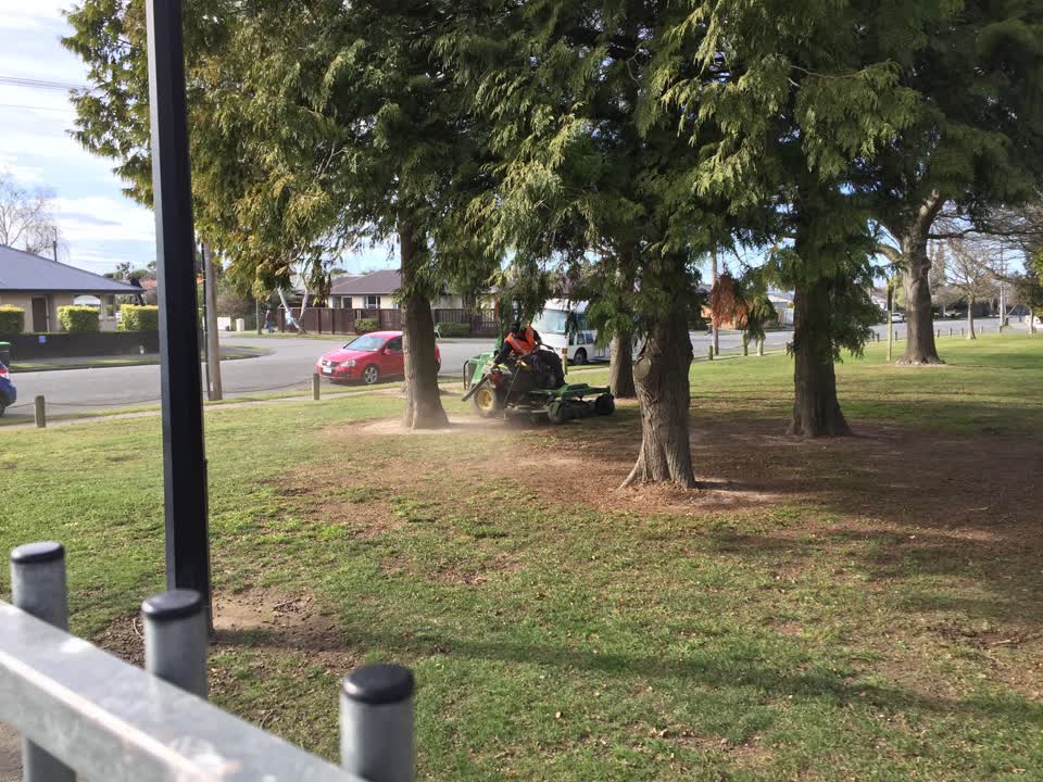 The photograph attached to this parks report