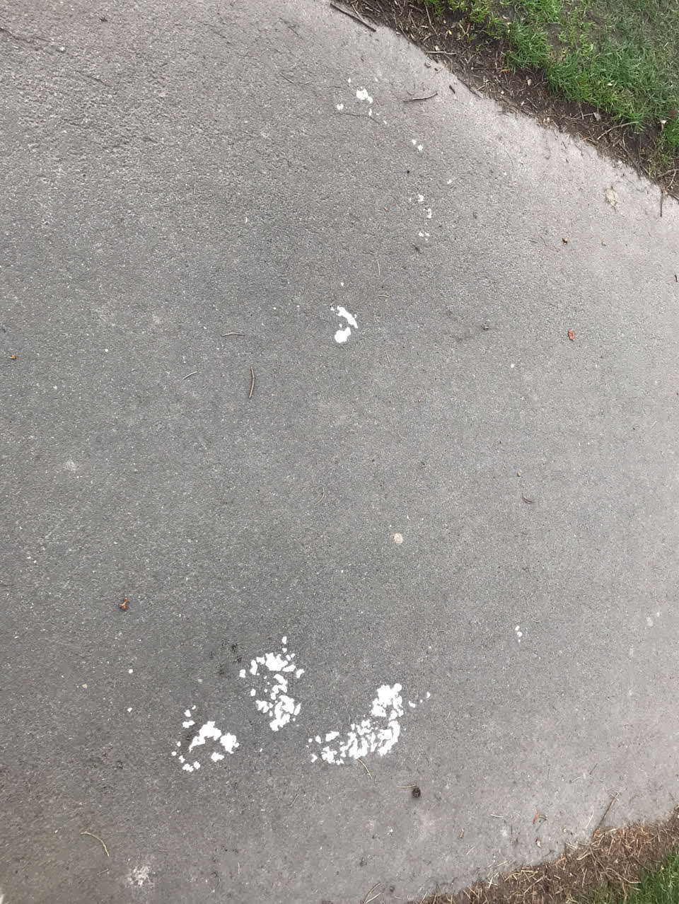 The photograph attached to this parks report