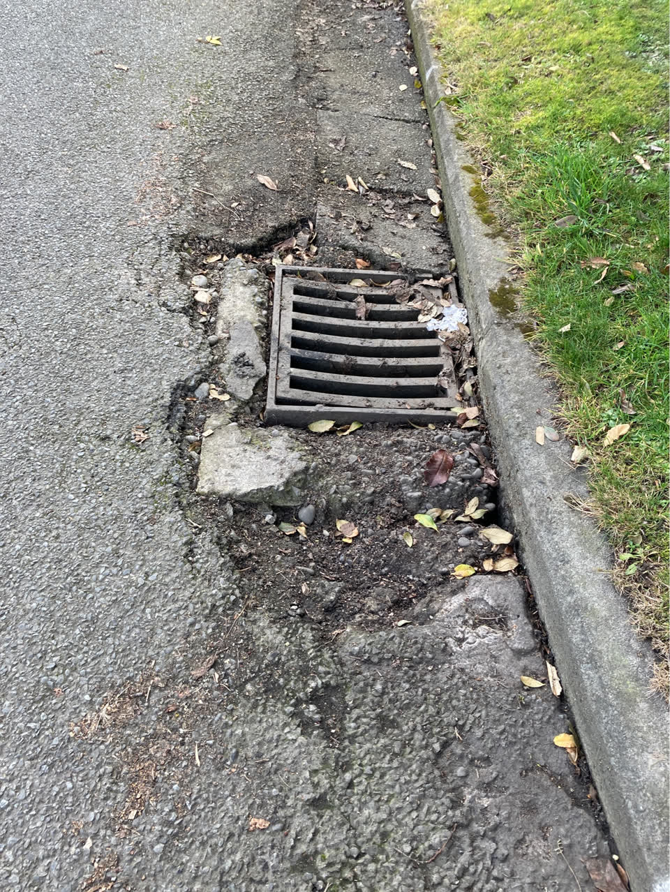 The photograph attached to this roading/streets report