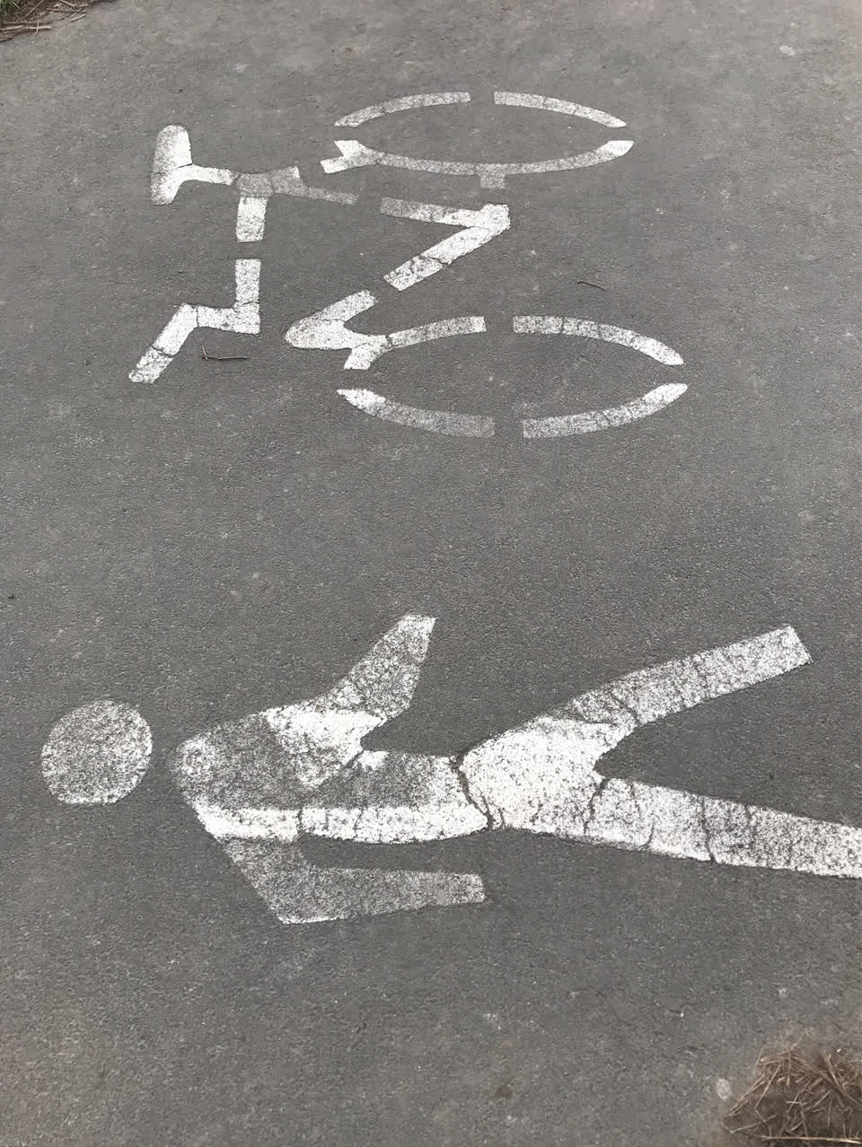 The photograph attached to this parks report