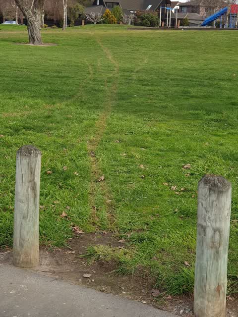 Parks, a report photo